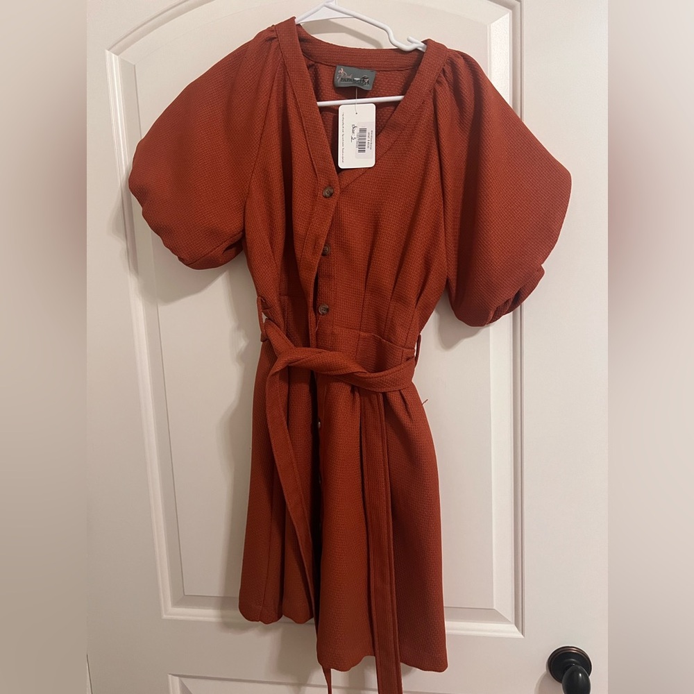 Autumn Puff Sleeve dress🍁